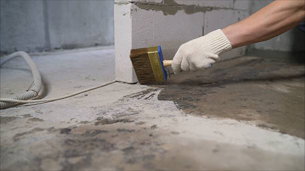 SJ Waterproofing Pros Waterproofing coverage map for Plantersville, AL and surrounding area